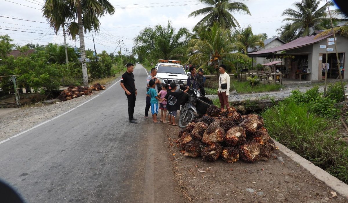 Dishub Sambas laksanakan survey identifikasi kegiatan bongkar muat di jembatan dan persimpangan di lokasi pembangunan jalan PHJD